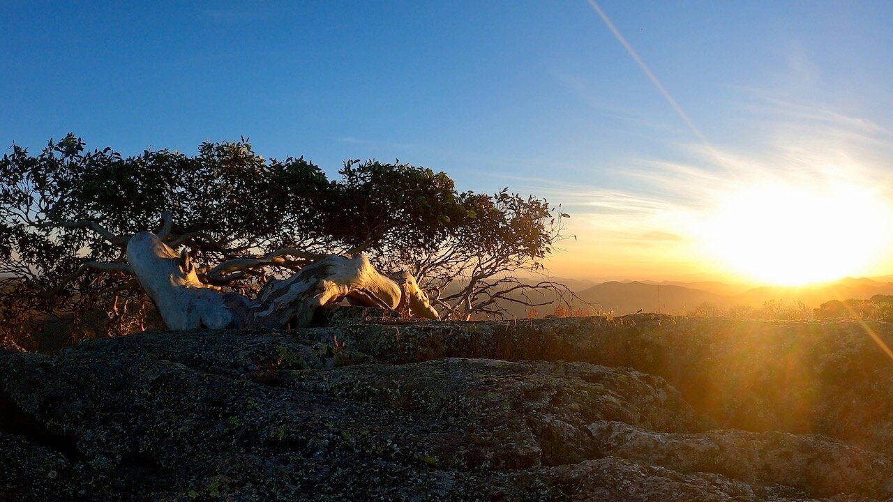 Saturday Long Run - Mt Gingera & Mt Ginini