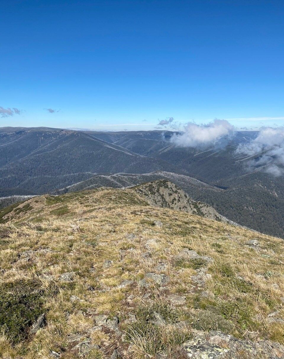 Race Report - Alpine Challenge 100km