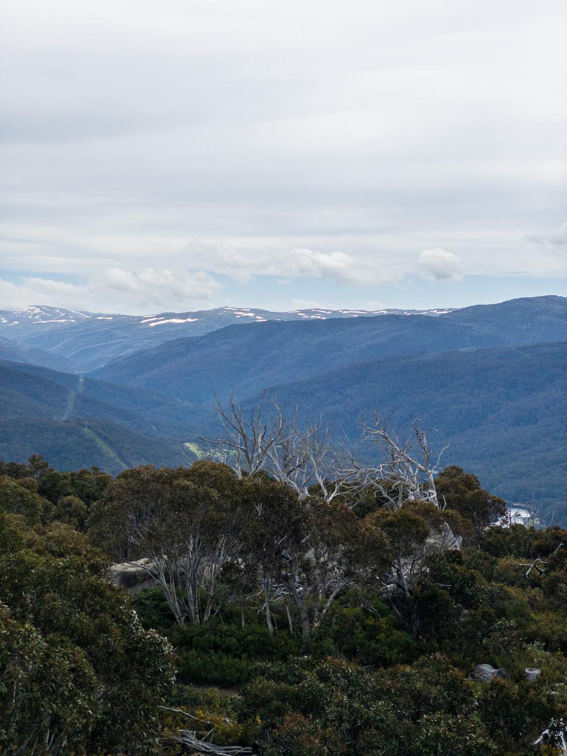 A weekend running in the Snowy Mountains