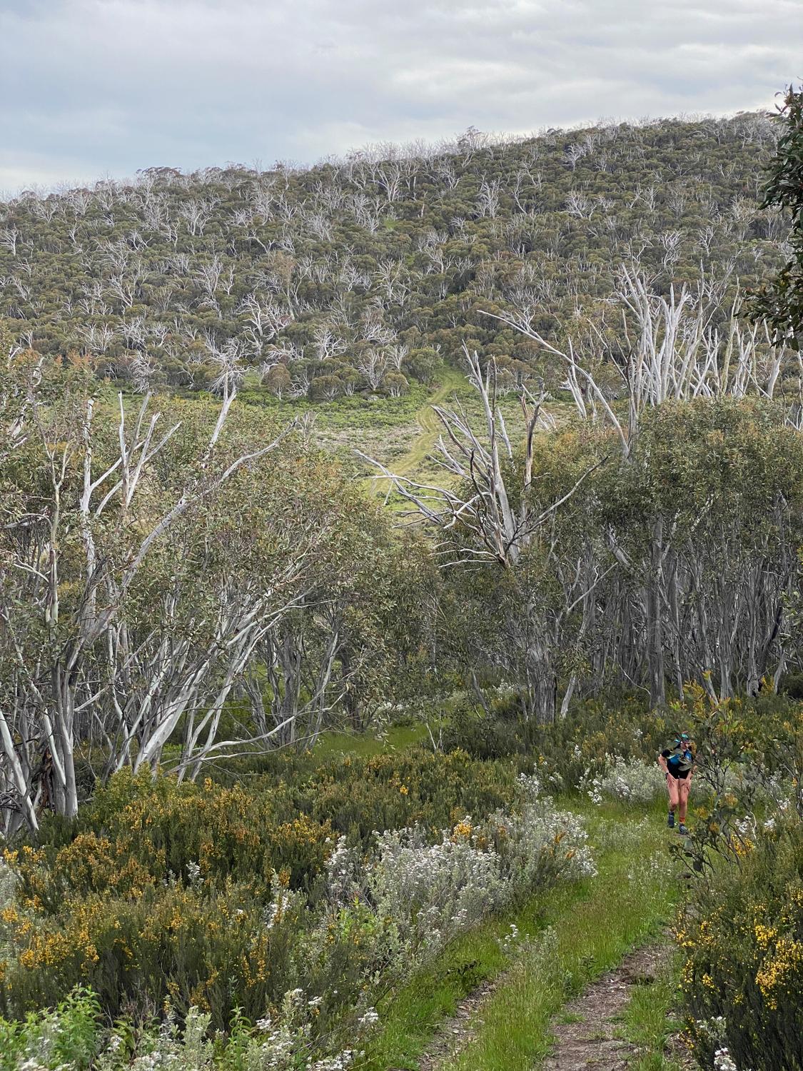 A weekend running in the Snowy Mountains