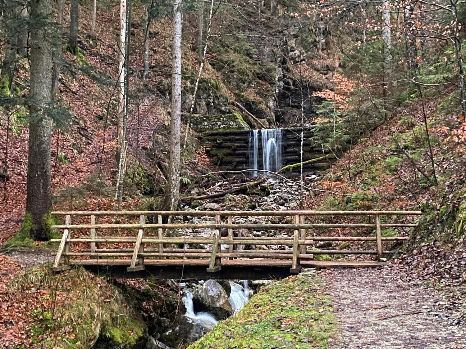 A run / hike up the Brecherspitz