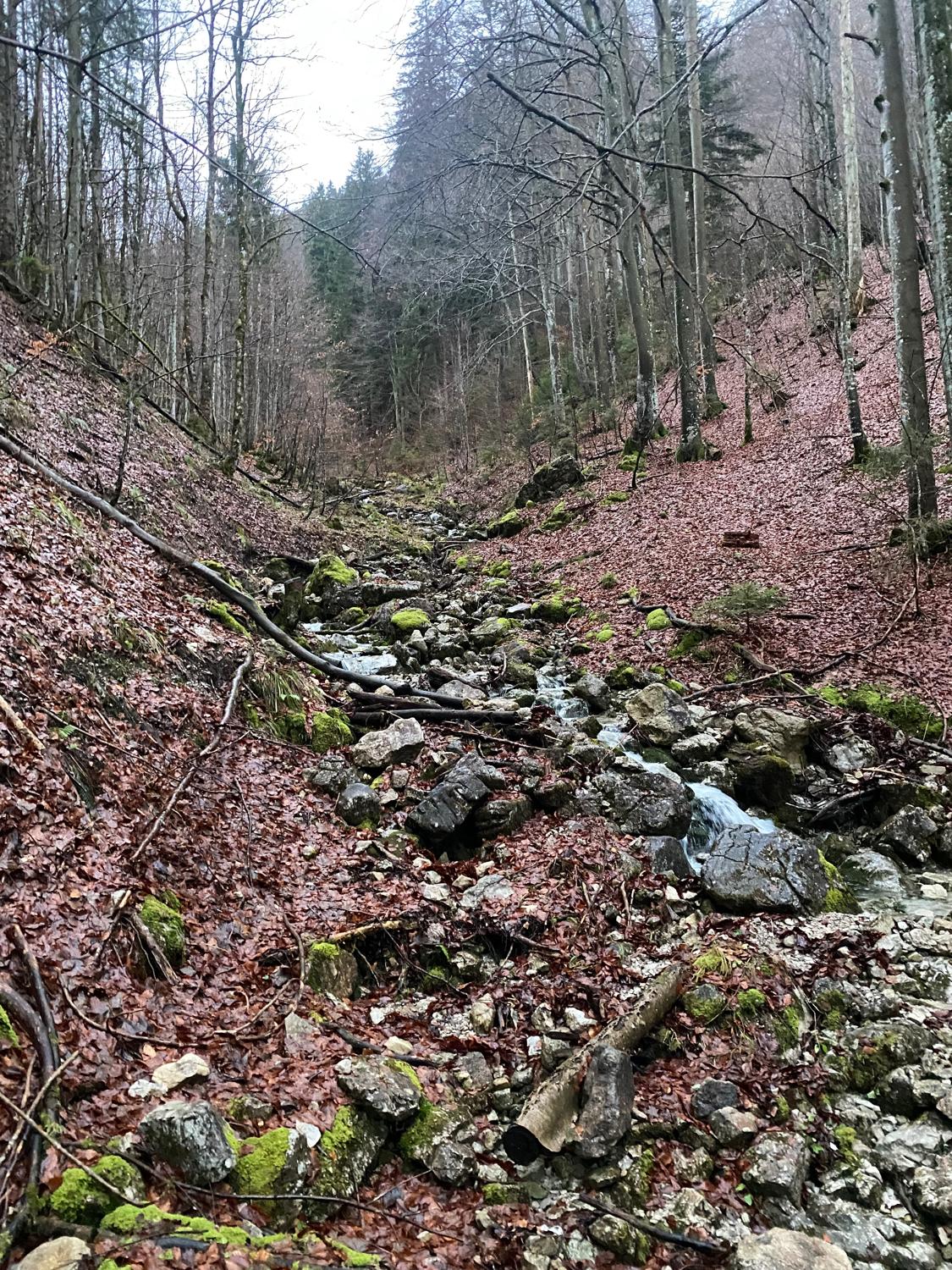 A run / hike up the Brecherspitz